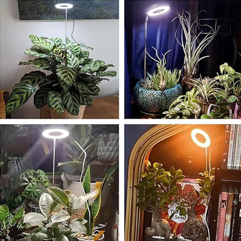 luces led Full Spectrum Indoor Solar LED Growth Light,Flower Floor Telescopic Fill Light,Annular Plant Light,Small Growth Light,Phyto Lamp