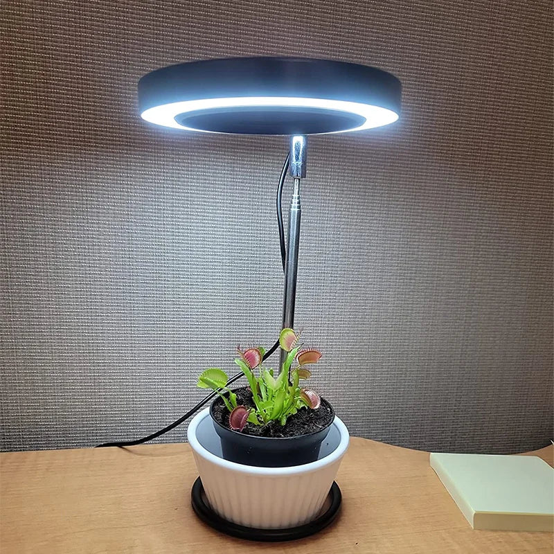 luces led Full Spectrum Indoor Solar LED Growth Light,Flower Floor Telescopic Fill Light,Annular Plant Light,Small Growth Light,Phyto Lamp